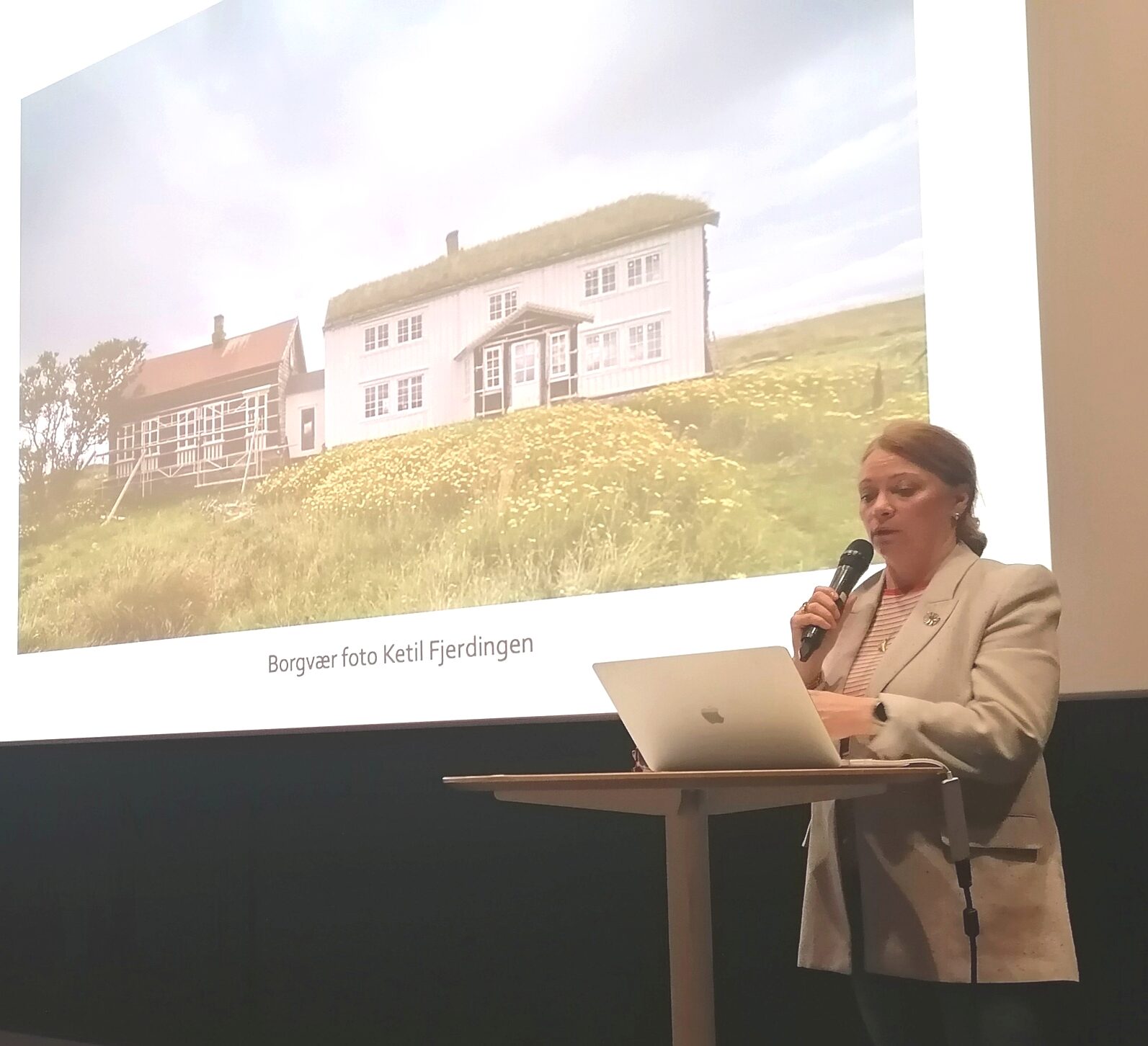 styreleder Hanne Kristin Jakhelln, Kulturminnefondet